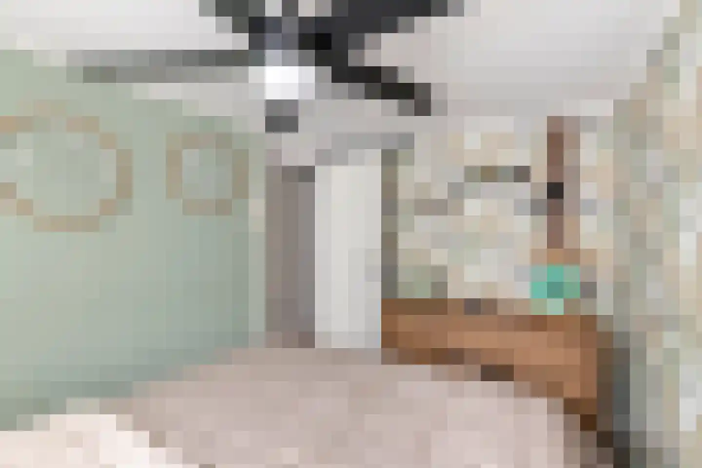 Nieuwe Tielseweg 15 Tiel thumbnail 24