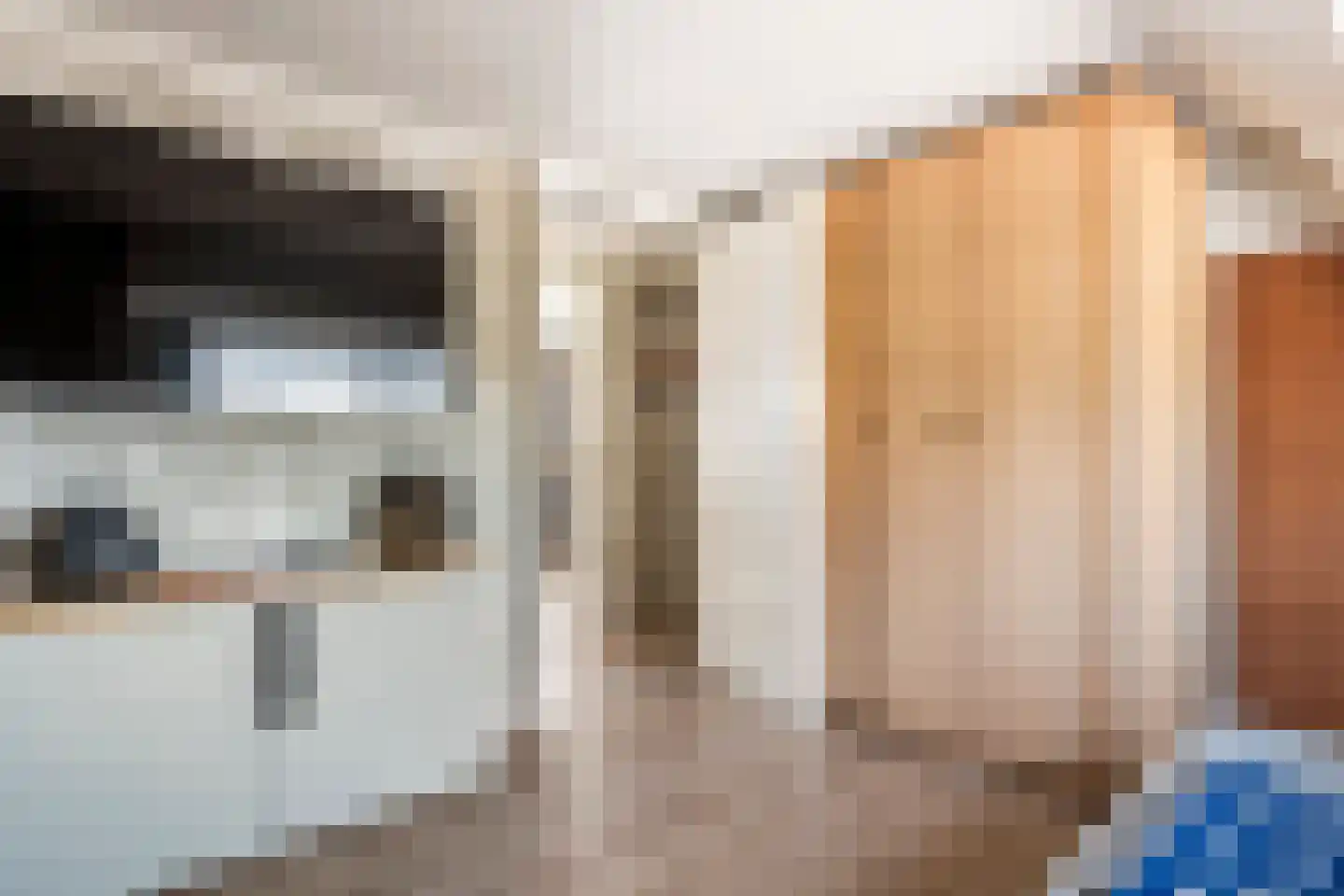 Nieuwe Tielseweg 15 Tiel thumbnail 26