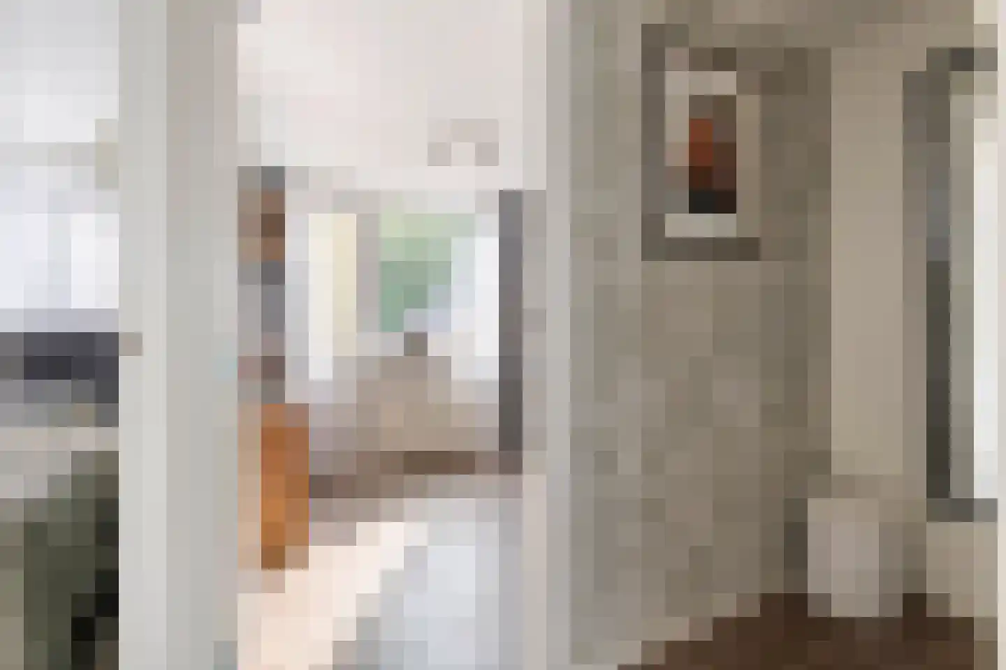 Nieuwe Tielseweg 15 Tiel thumbnail 27