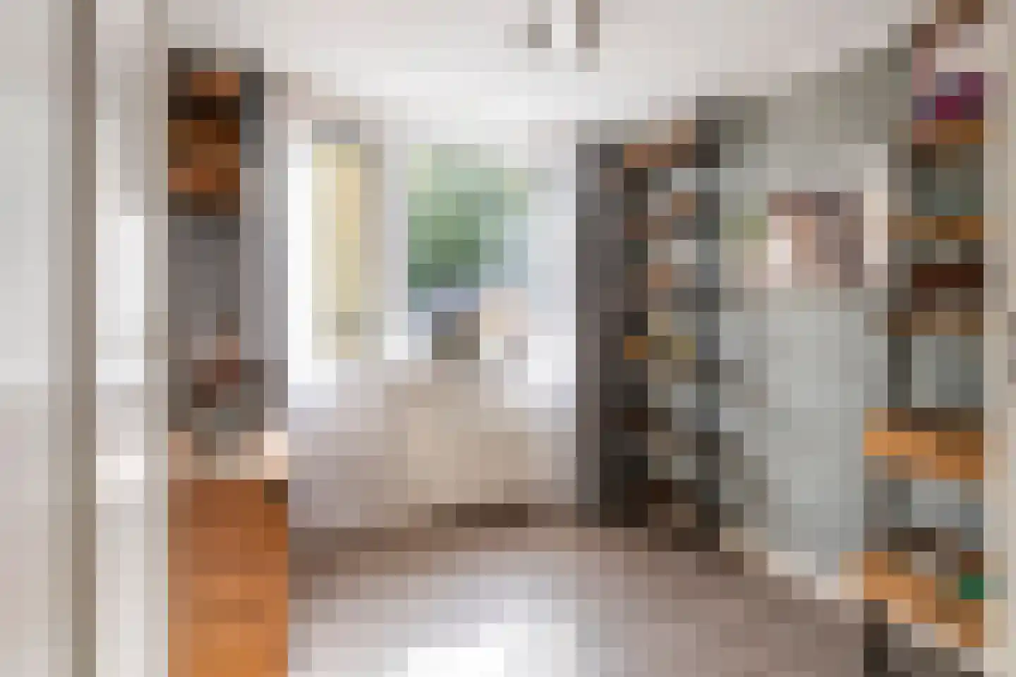 Nieuwe Tielseweg 15 Tiel thumbnail 28