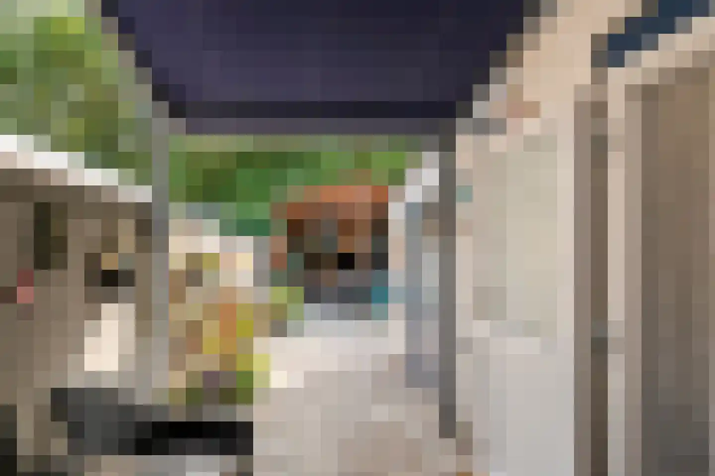 Nieuwe Tielseweg 15 Tiel thumbnail 29