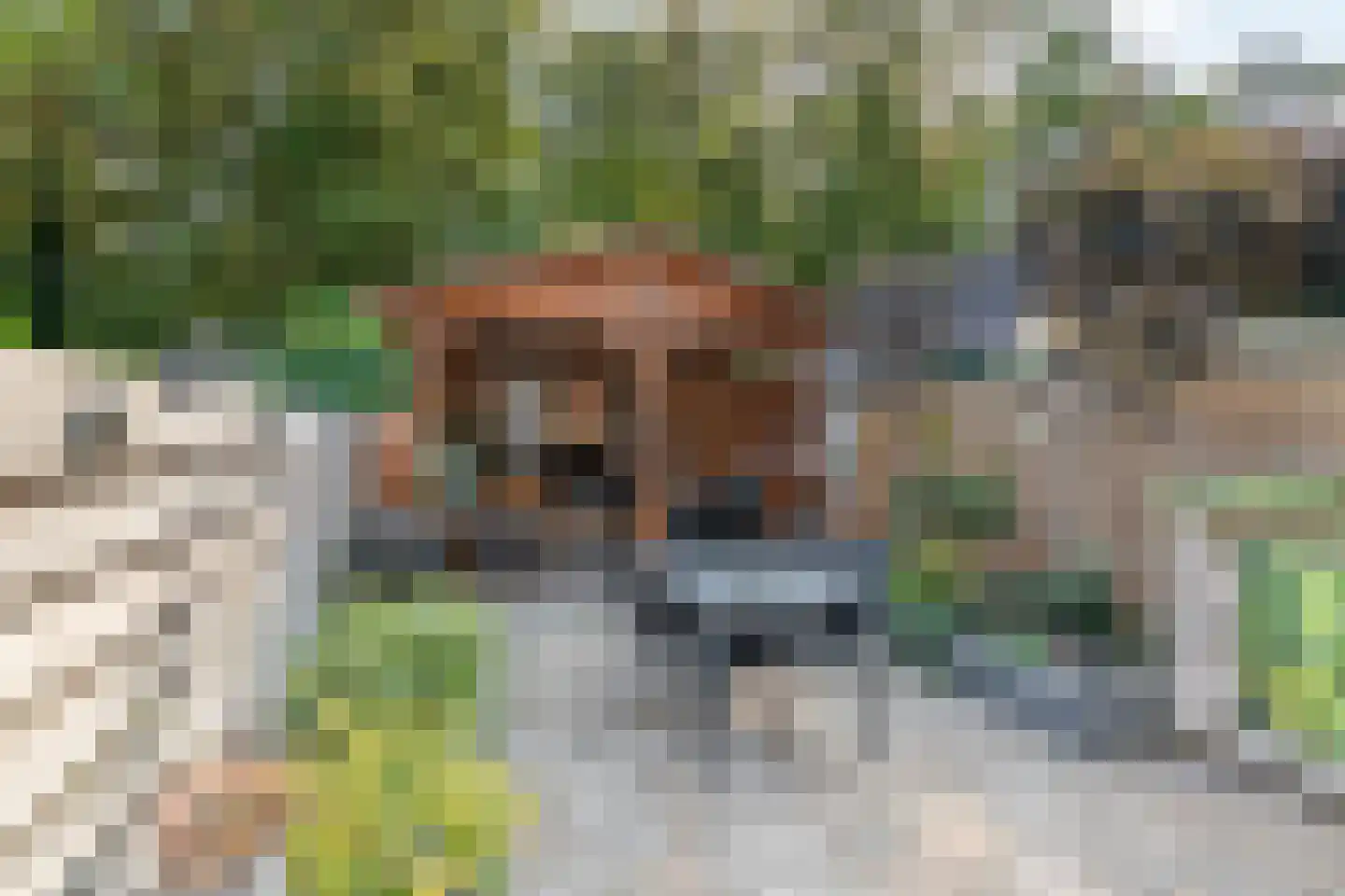 Nieuwe Tielseweg 15 Tiel thumbnail 30