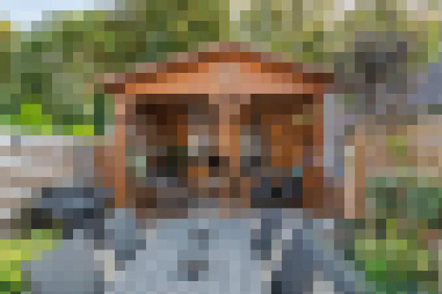 Nieuwe Tielseweg 15 Tiel thumbnail 31