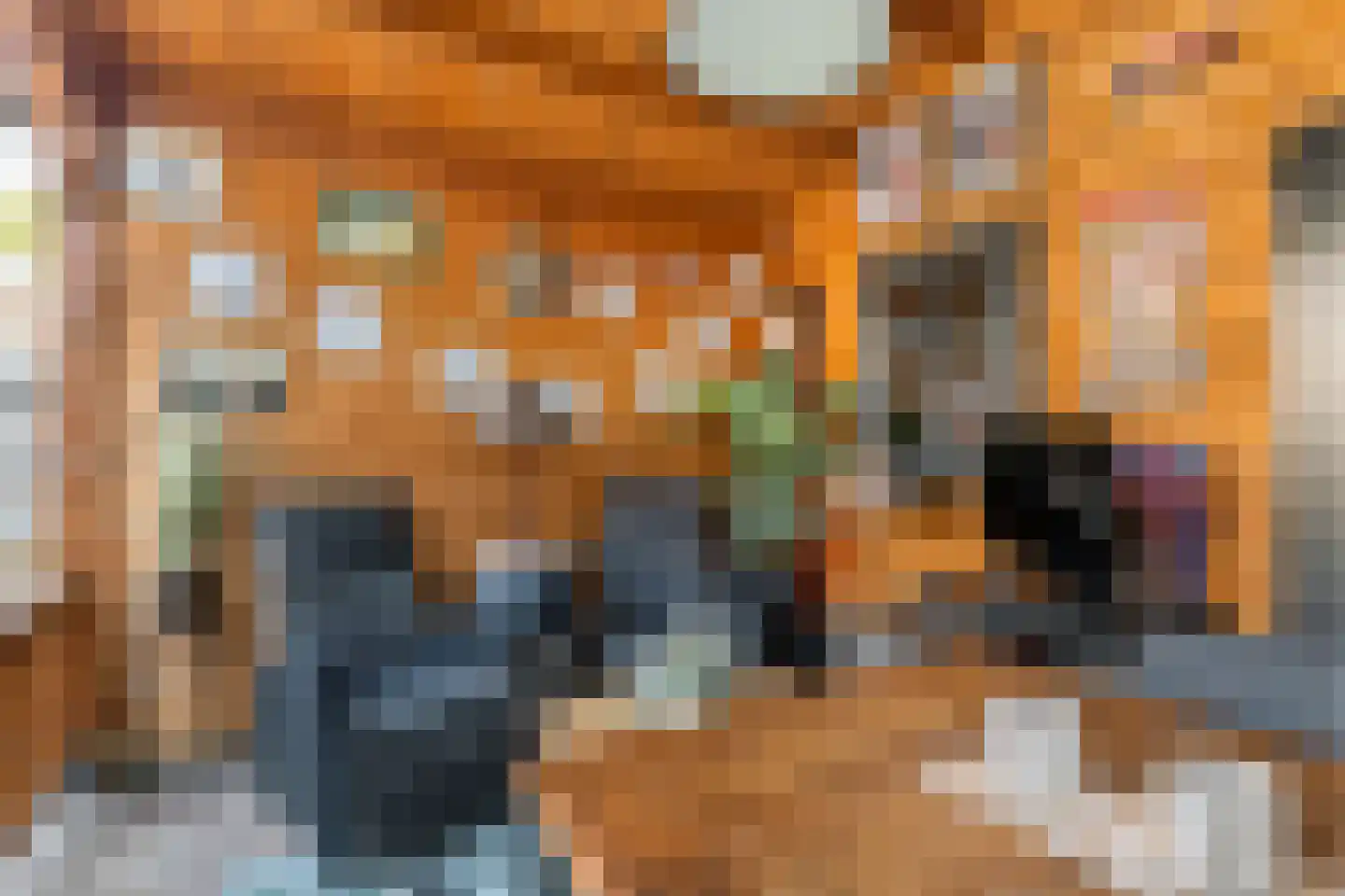 Nieuwe Tielseweg 15 Tiel thumbnail 32