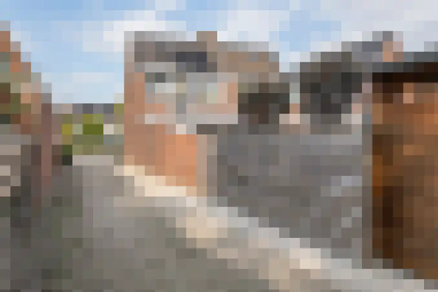 Nieuwe Tielseweg 15 Tiel thumbnail 38
