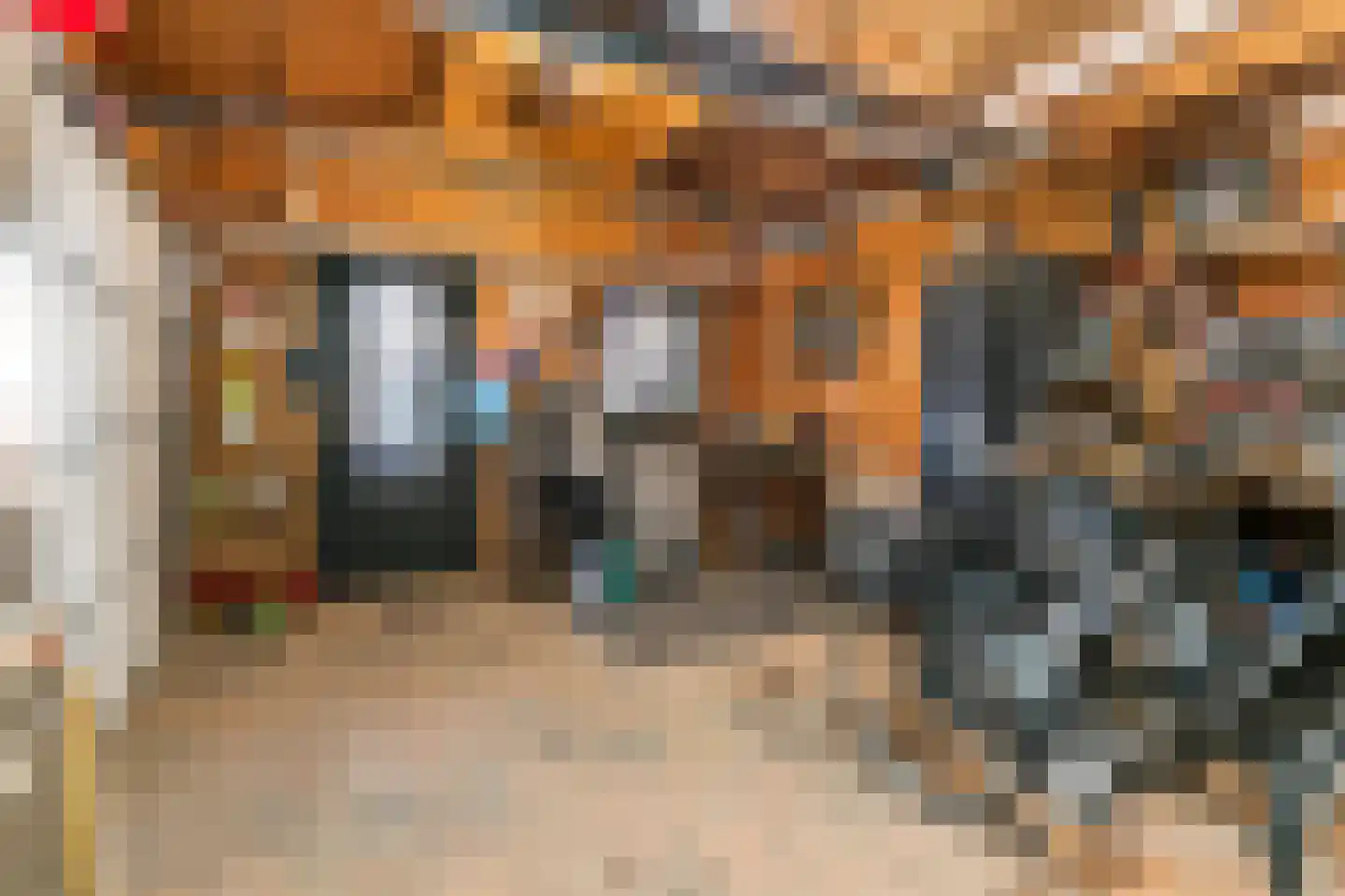 Nieuwe Tielseweg 15 Tiel thumbnail 40