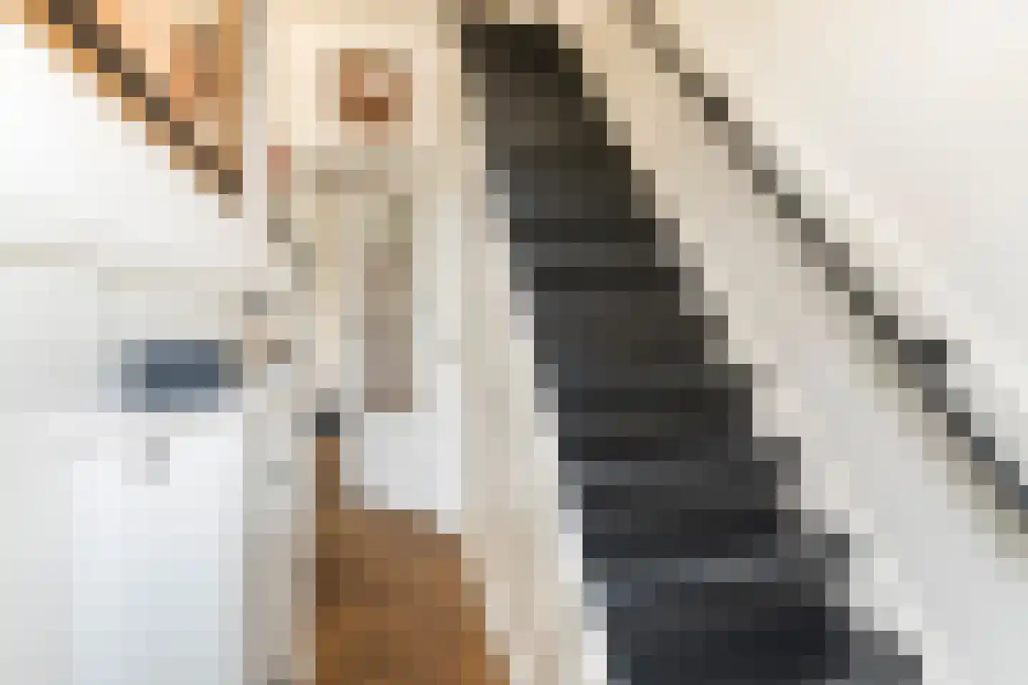 Nieuwe Tielseweg 15 Tiel thumbnail 5