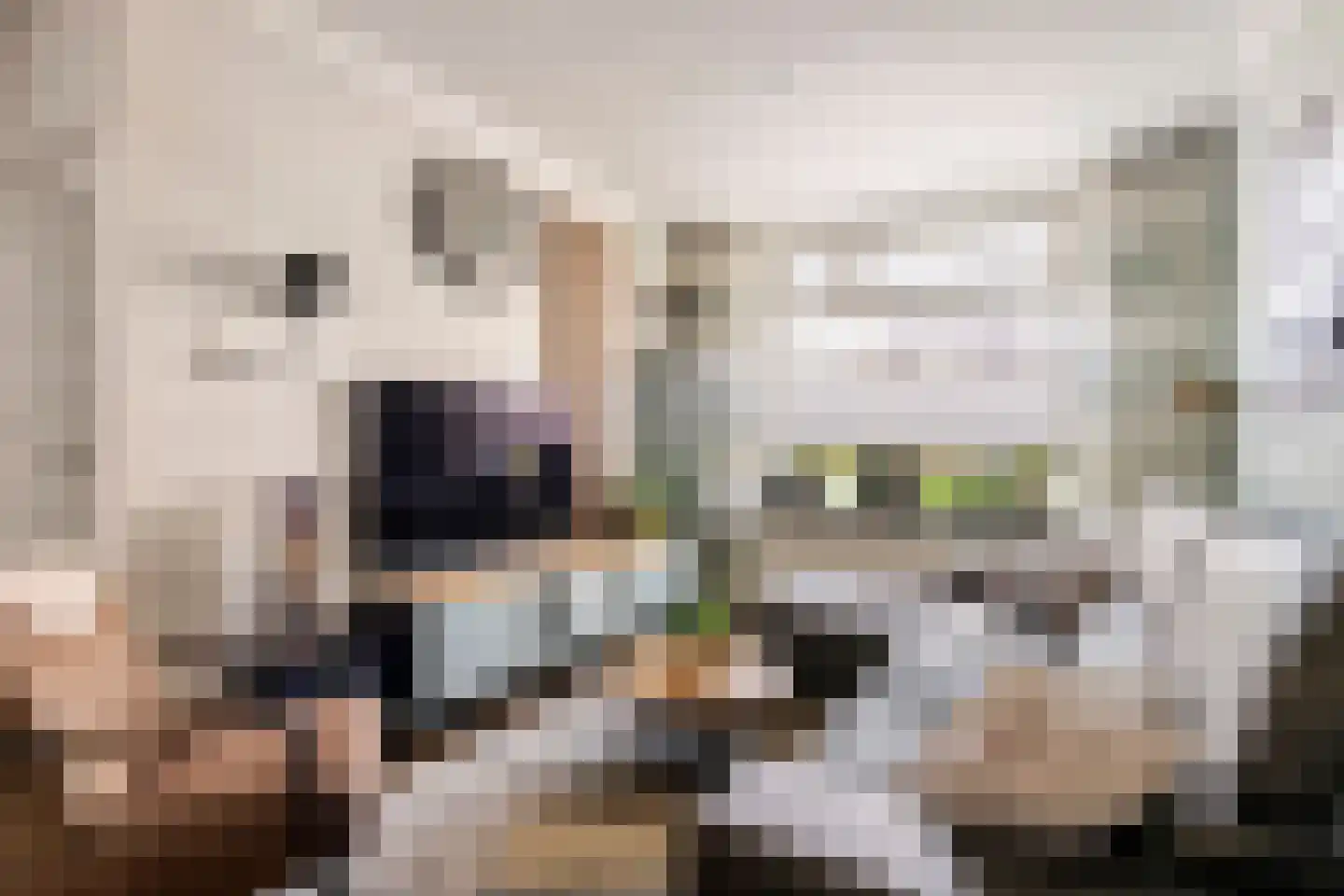 Nieuwe Tielseweg 15 Tiel thumbnail 6