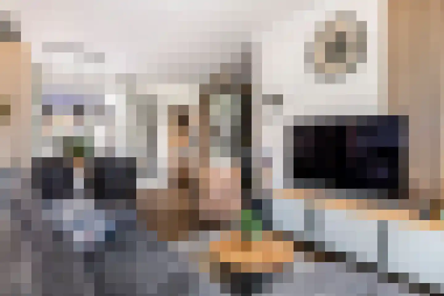 Nieuwe Tielseweg 15 Tiel thumbnail 7