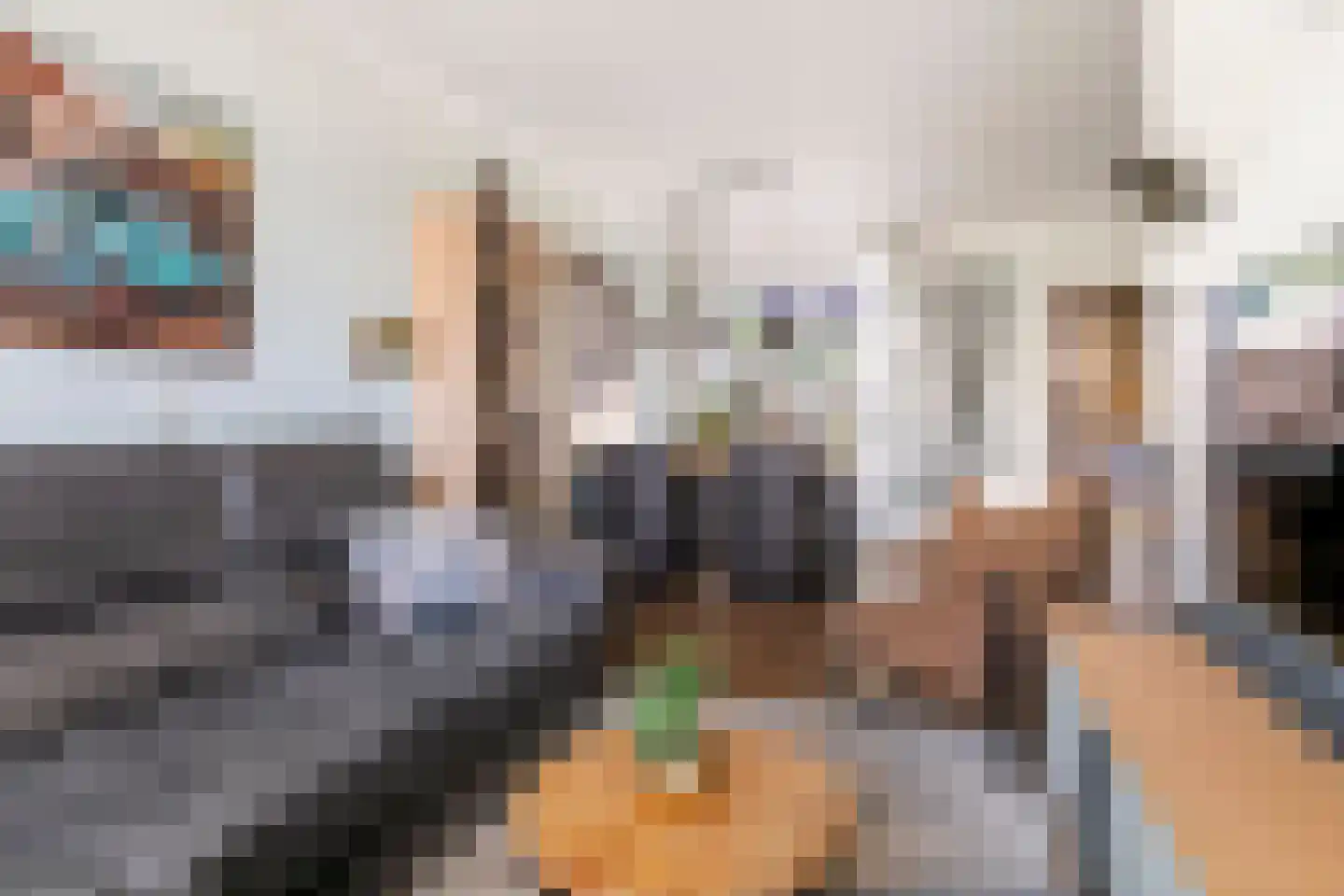 Nieuwe Tielseweg 15 Tiel thumbnail 8