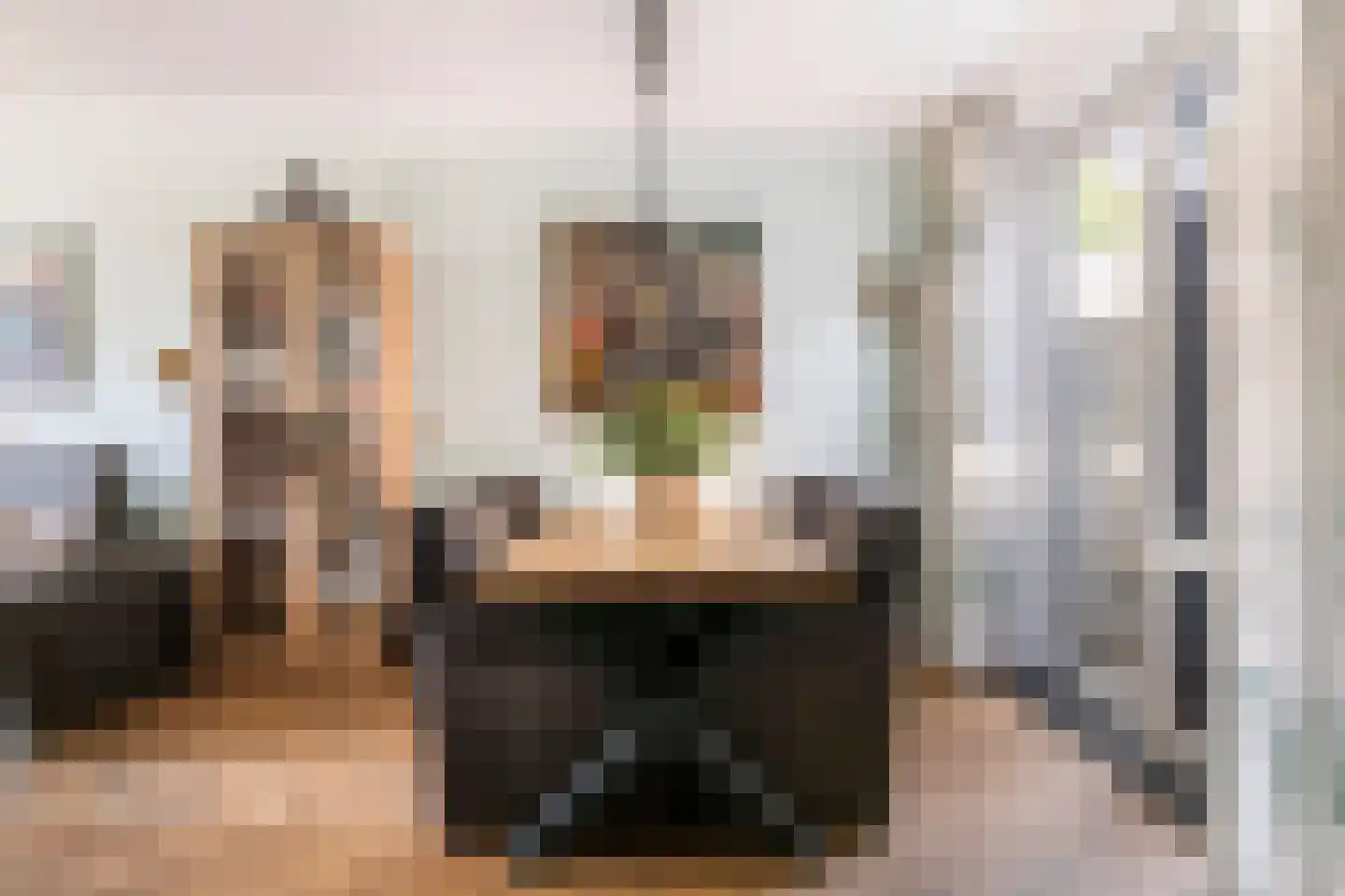 Nieuwe Tielseweg 15 Tiel thumbnail 9