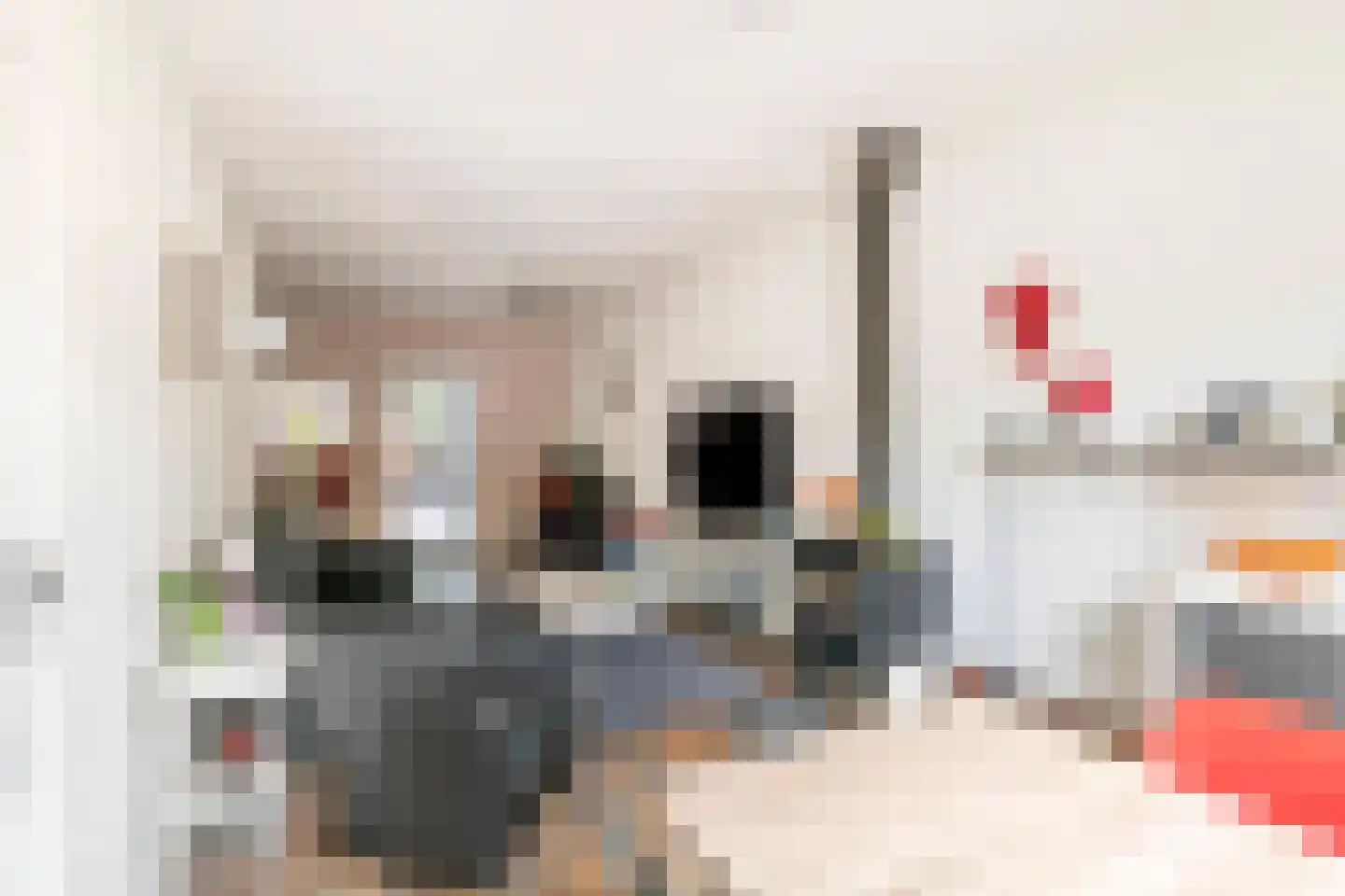 Nieuwe Tielseweg 18 Tiel thumbnail 11