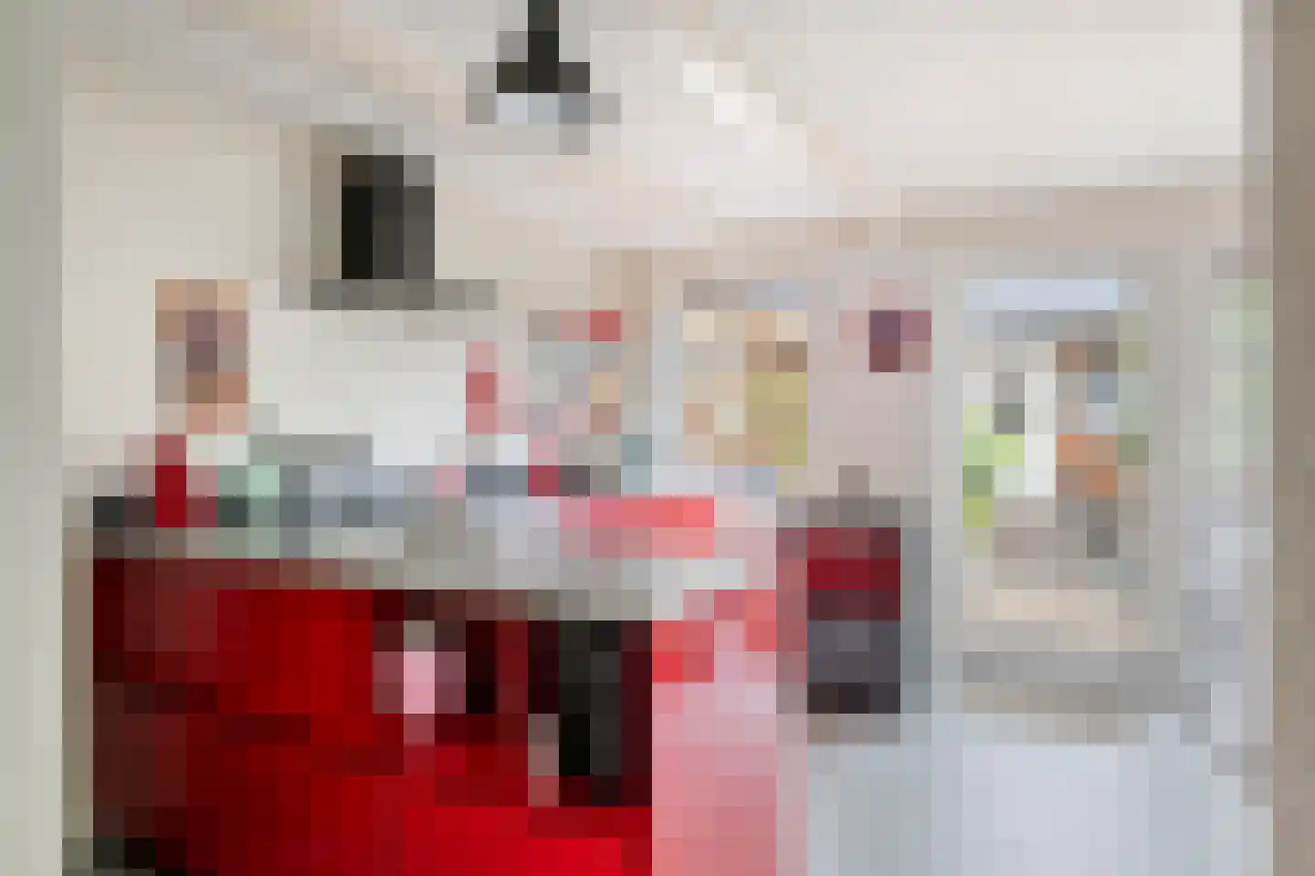 Nieuwe Tielseweg 18 Tiel thumbnail 13