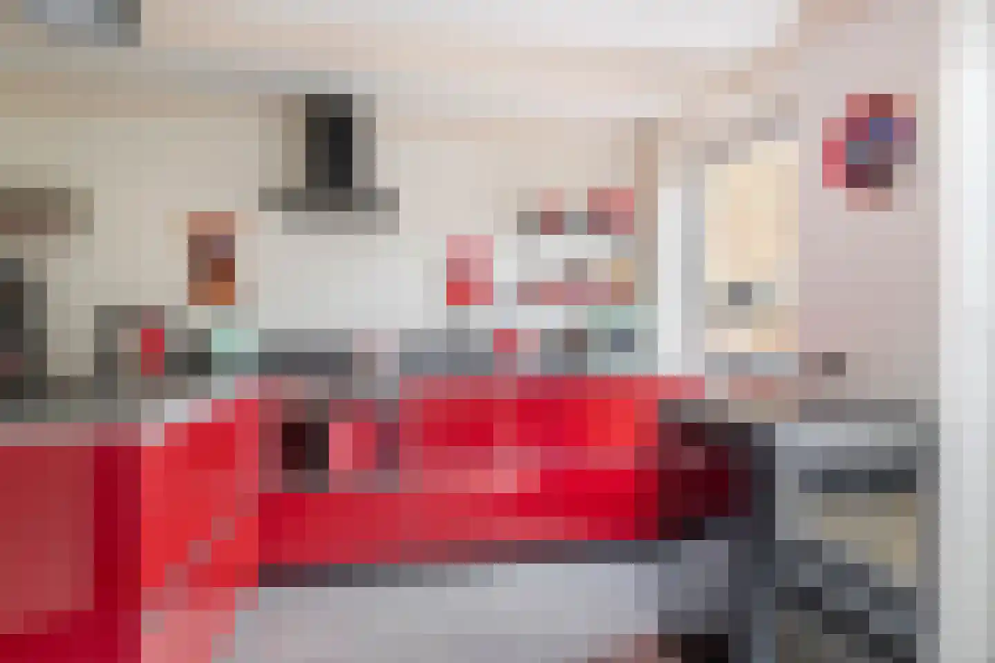Nieuwe Tielseweg 18 Tiel thumbnail 14