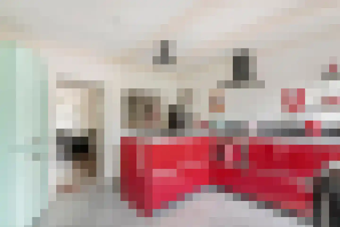 Nieuwe Tielseweg 18 Tiel thumbnail 15