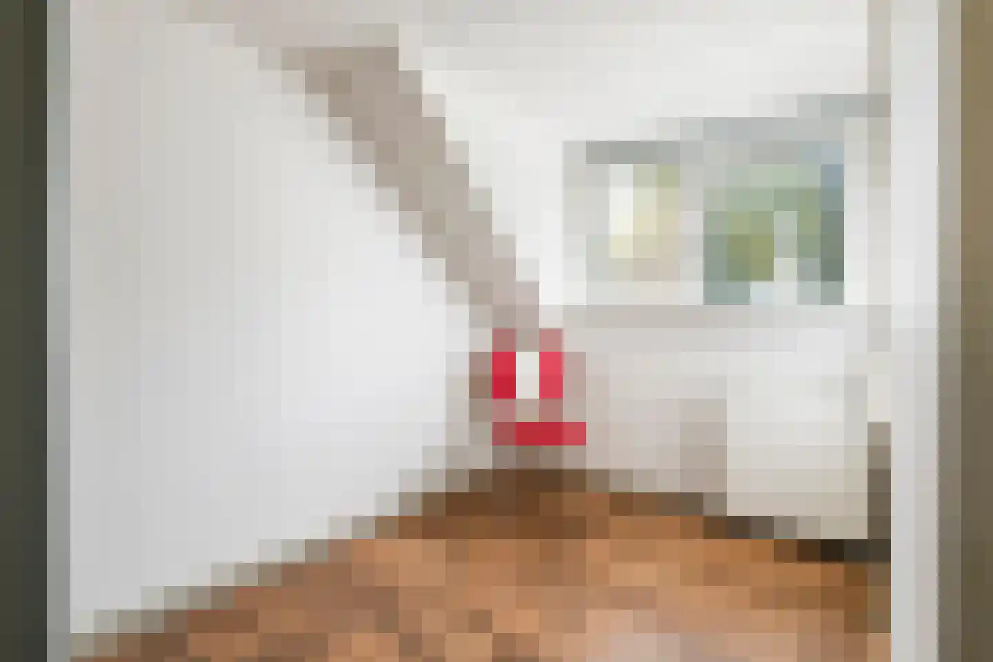 Nieuwe Tielseweg 18 Tiel thumbnail 20