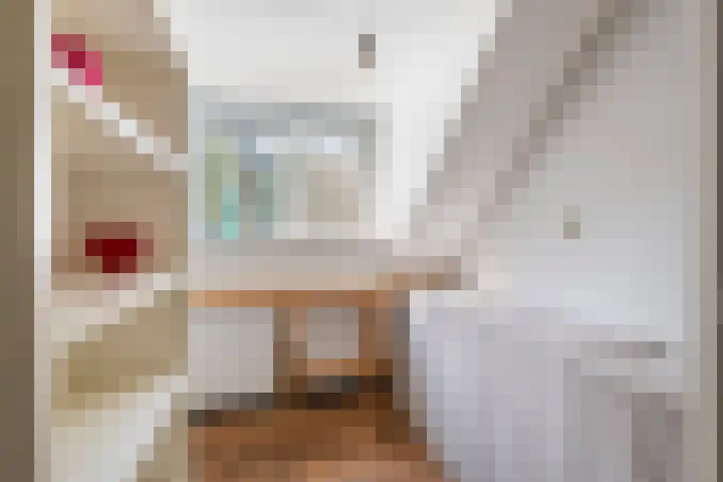 Nieuwe Tielseweg 18 Tiel thumbnail 22
