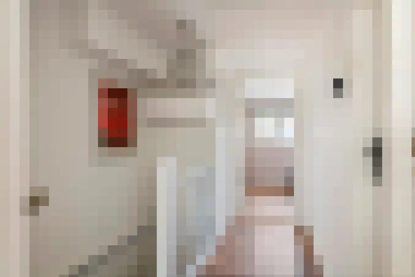 Nieuwe Tielseweg 18 Tiel thumbnail 23