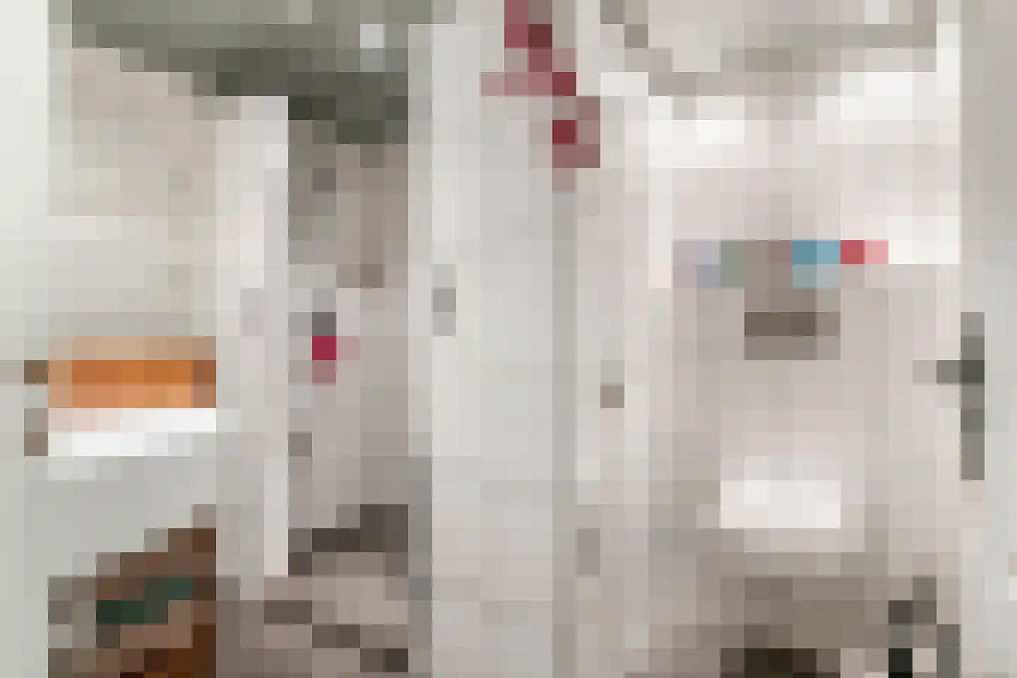 Nieuwe Tielseweg 18 Tiel thumbnail 24