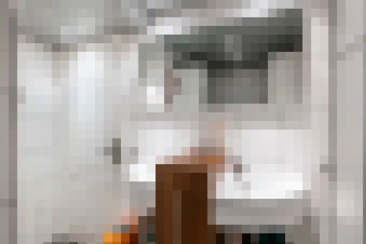 Nieuwe Tielseweg 18 Tiel thumbnail 25