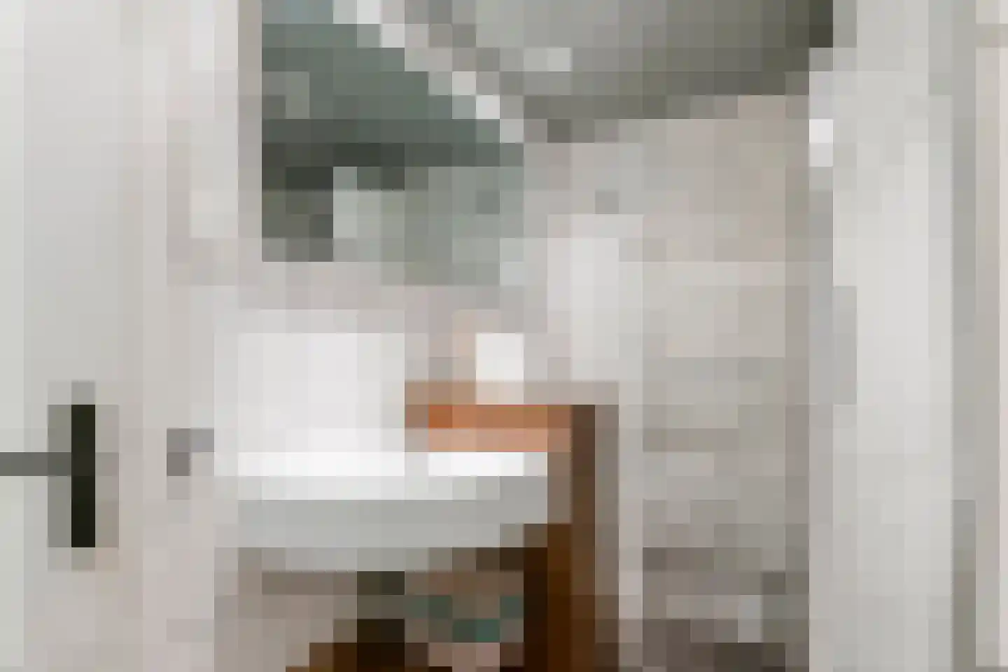 Nieuwe Tielseweg 18 Tiel thumbnail 26