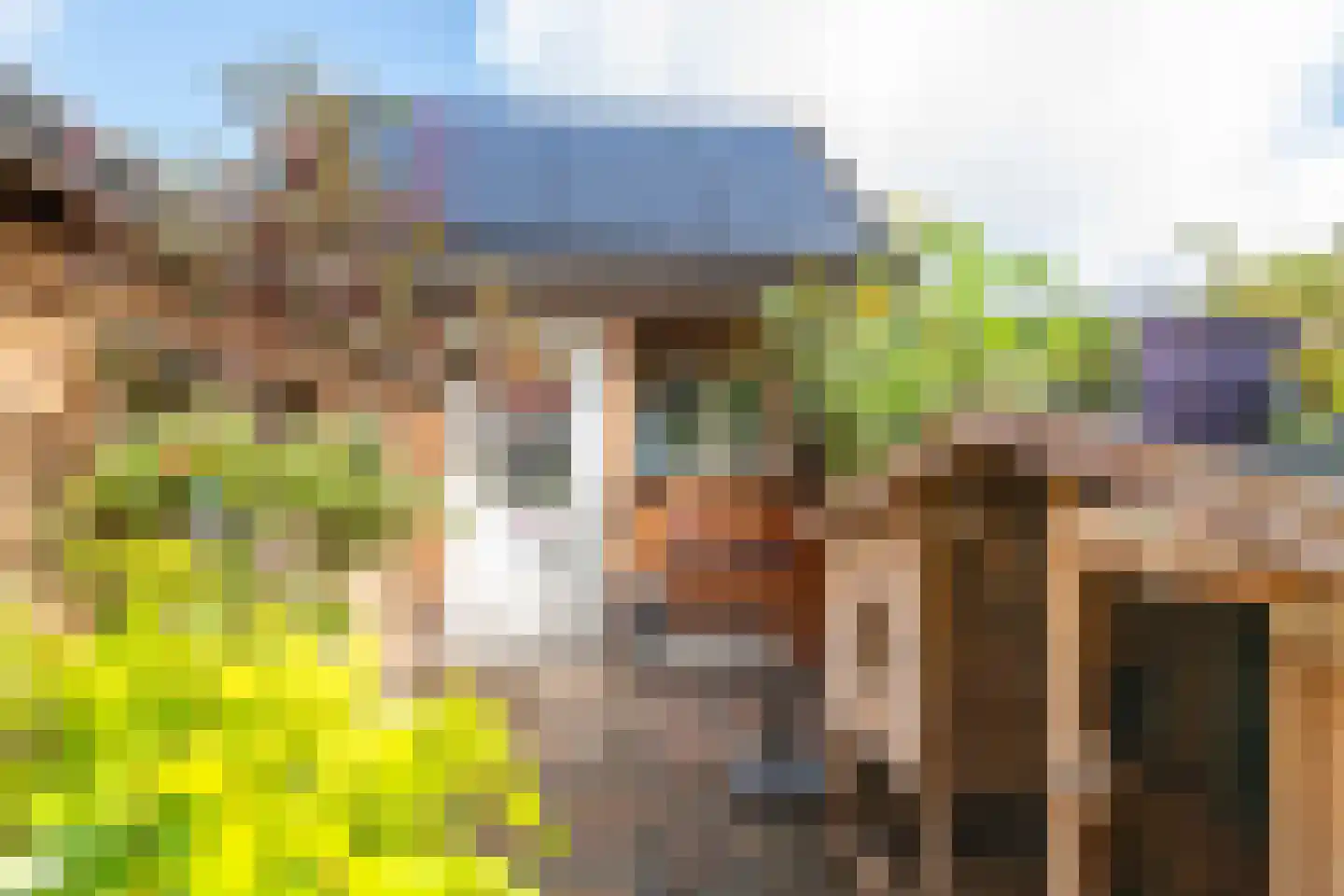 Nieuwe Tielseweg 18 Tiel thumbnail 27