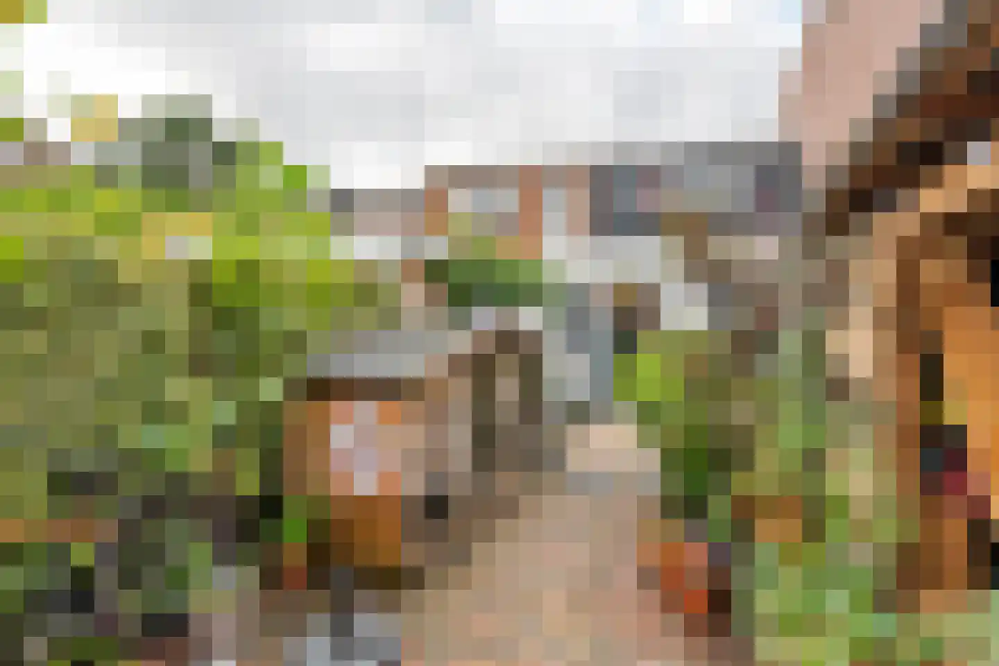 Nieuwe Tielseweg 18 Tiel thumbnail 28