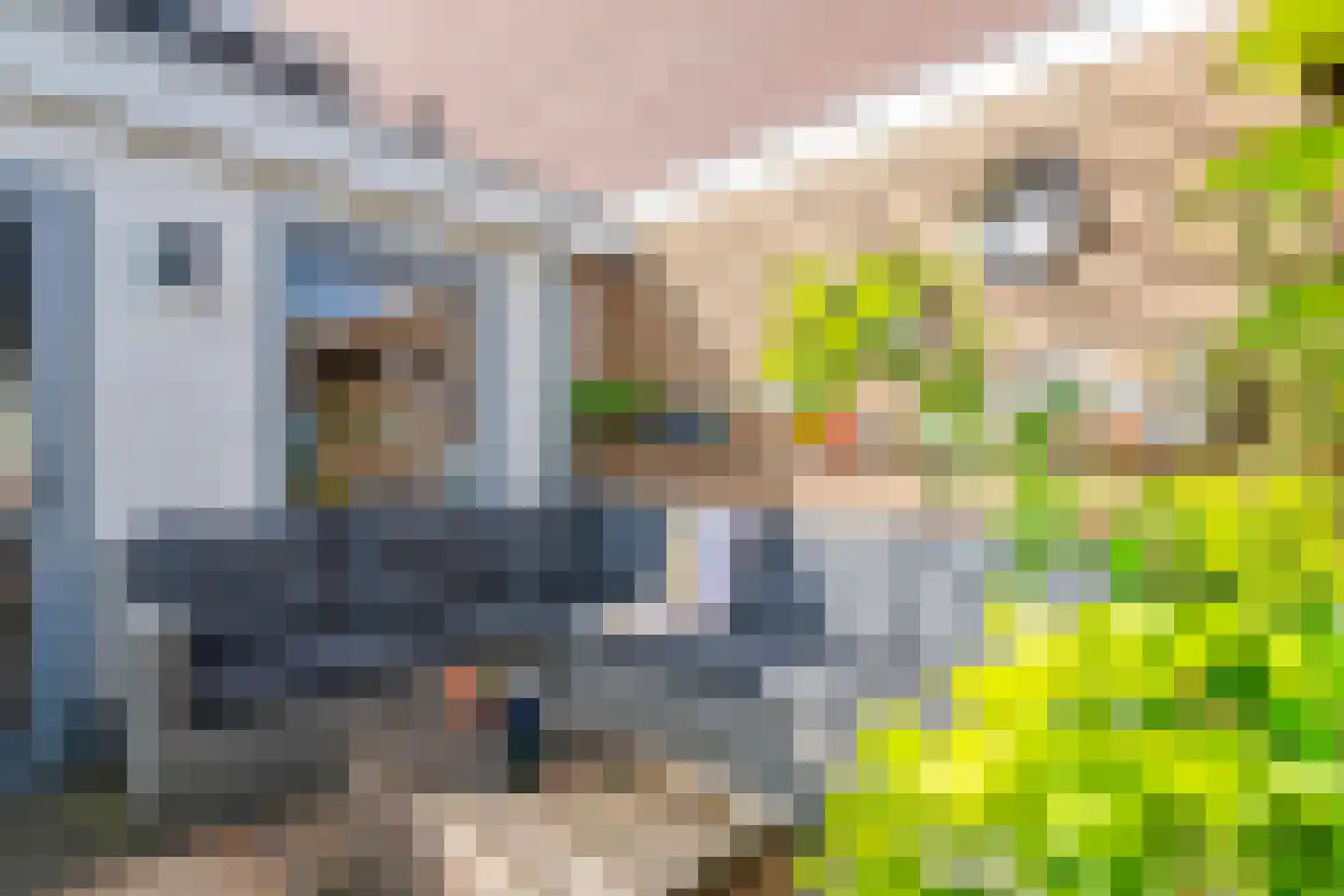 Nieuwe Tielseweg 18 Tiel thumbnail 30