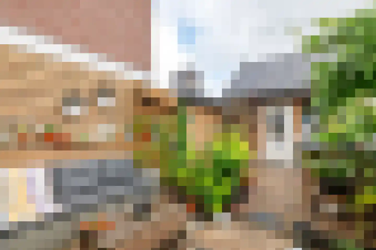 Nieuwe Tielseweg 18 Tiel thumbnail 31