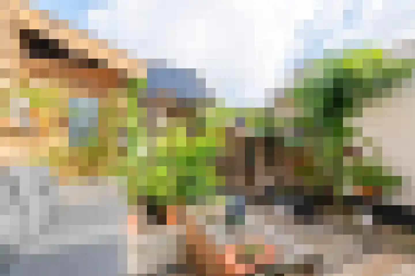 Nieuwe Tielseweg 18 Tiel thumbnail 32