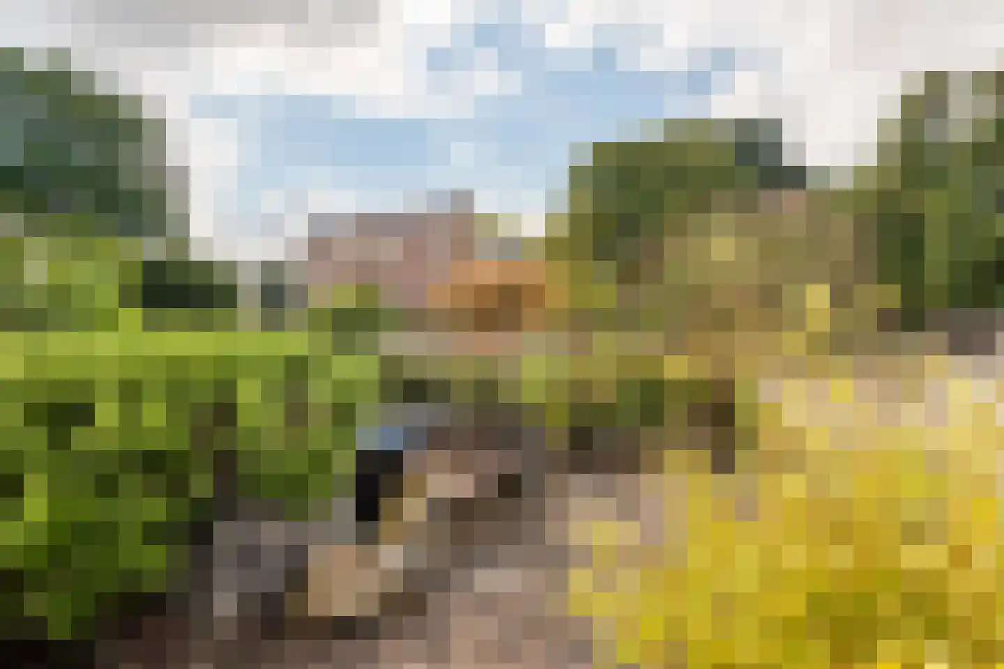 Nieuwe Tielseweg 18 Tiel thumbnail 4