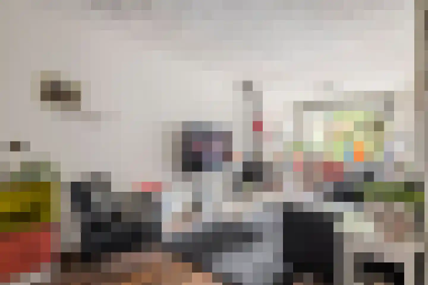 Nieuwe Tielseweg 18 Tiel thumbnail 6
