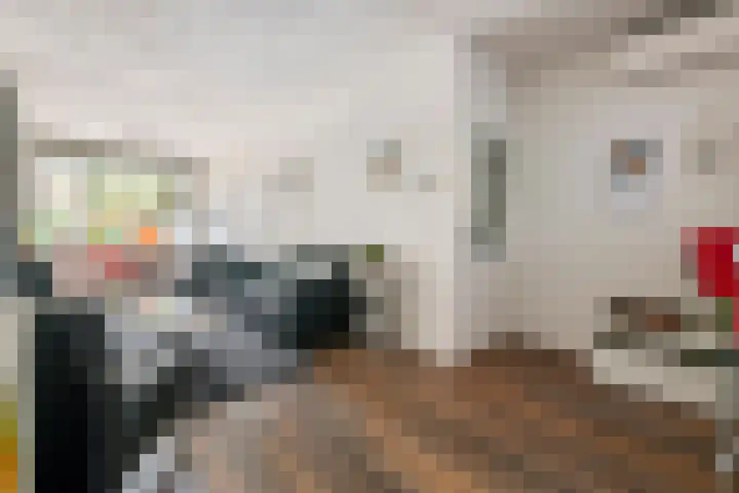Nieuwe Tielseweg 18 Tiel thumbnail 9