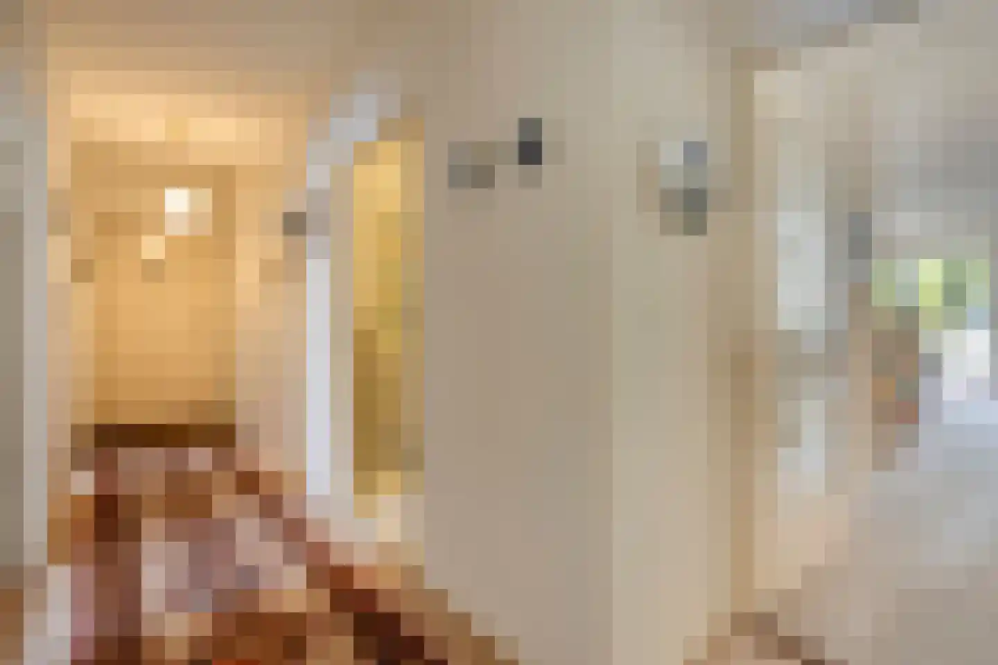 Nieuwe Tielseweg 20 13 Tiel thumbnail 11