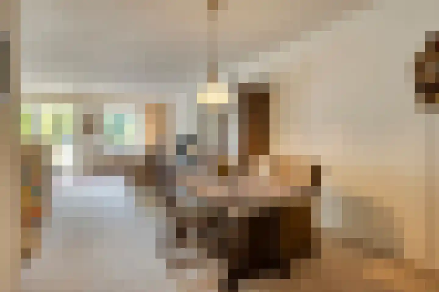 Nieuwe Tielseweg 20 13 Tiel thumbnail 12