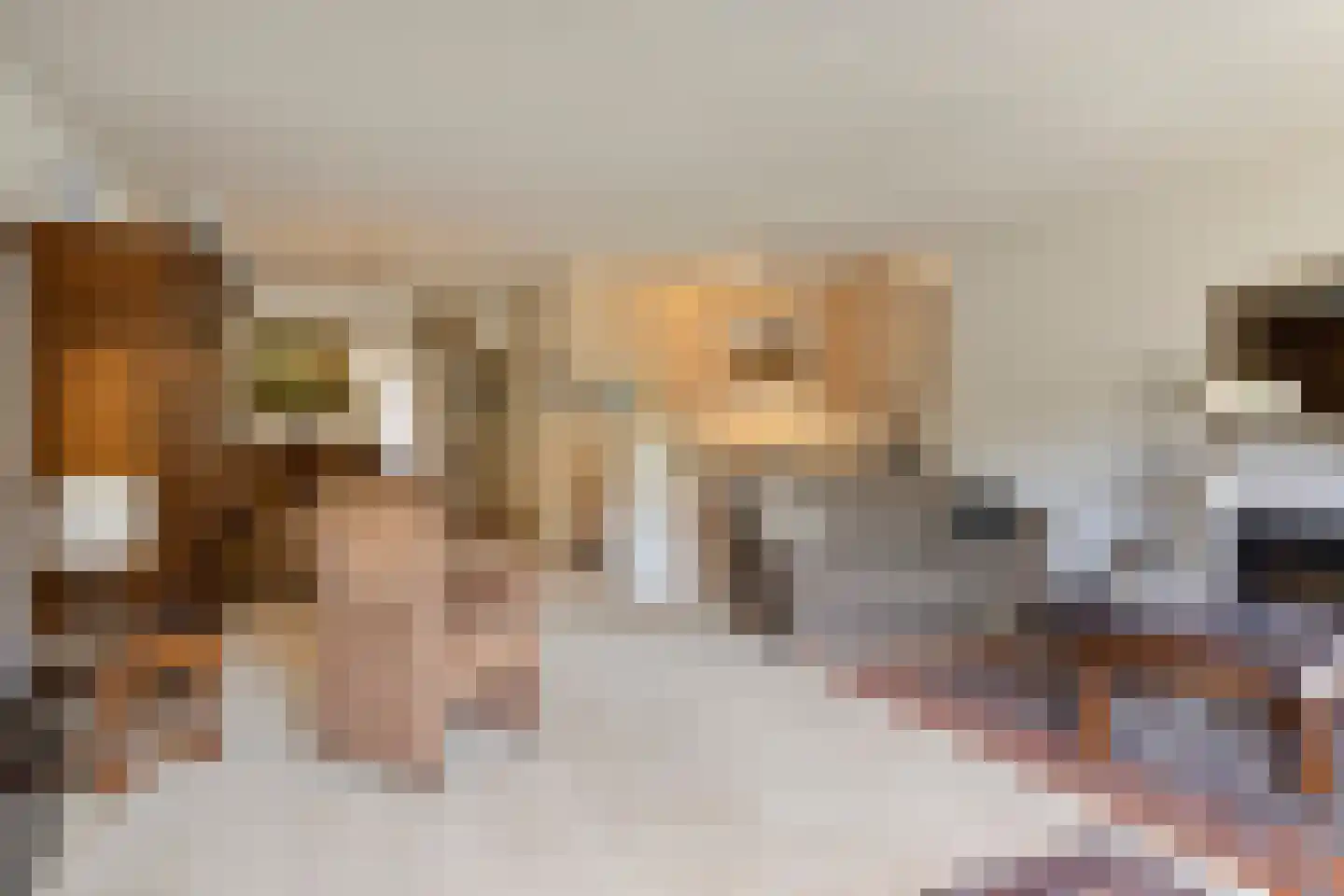 Nieuwe Tielseweg 20 13 Tiel thumbnail 13