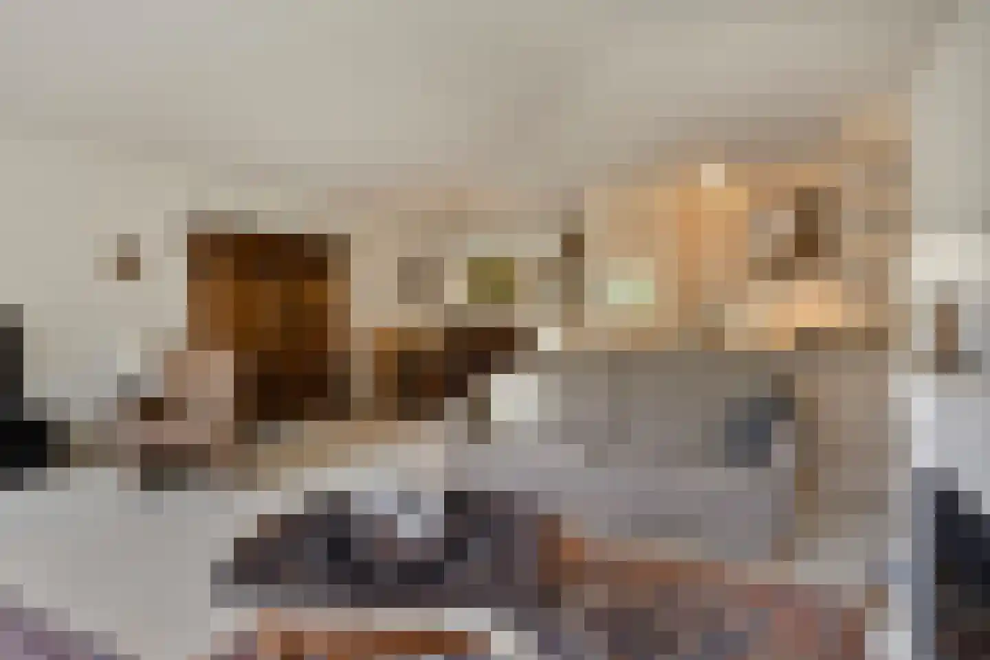 Nieuwe Tielseweg 20 13 Tiel thumbnail 14