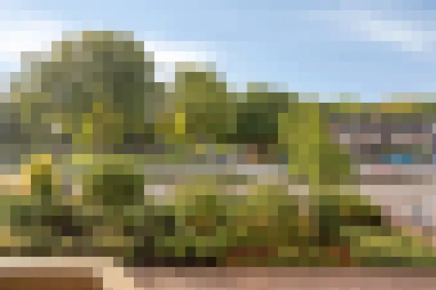 Nieuwe Tielseweg 20 13 Tiel thumbnail 17