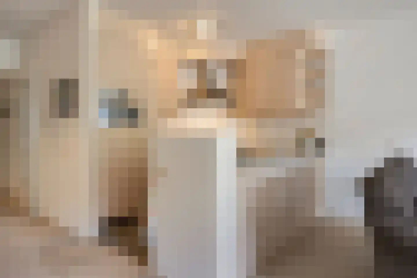 Nieuwe Tielseweg 20 13 Tiel thumbnail 18