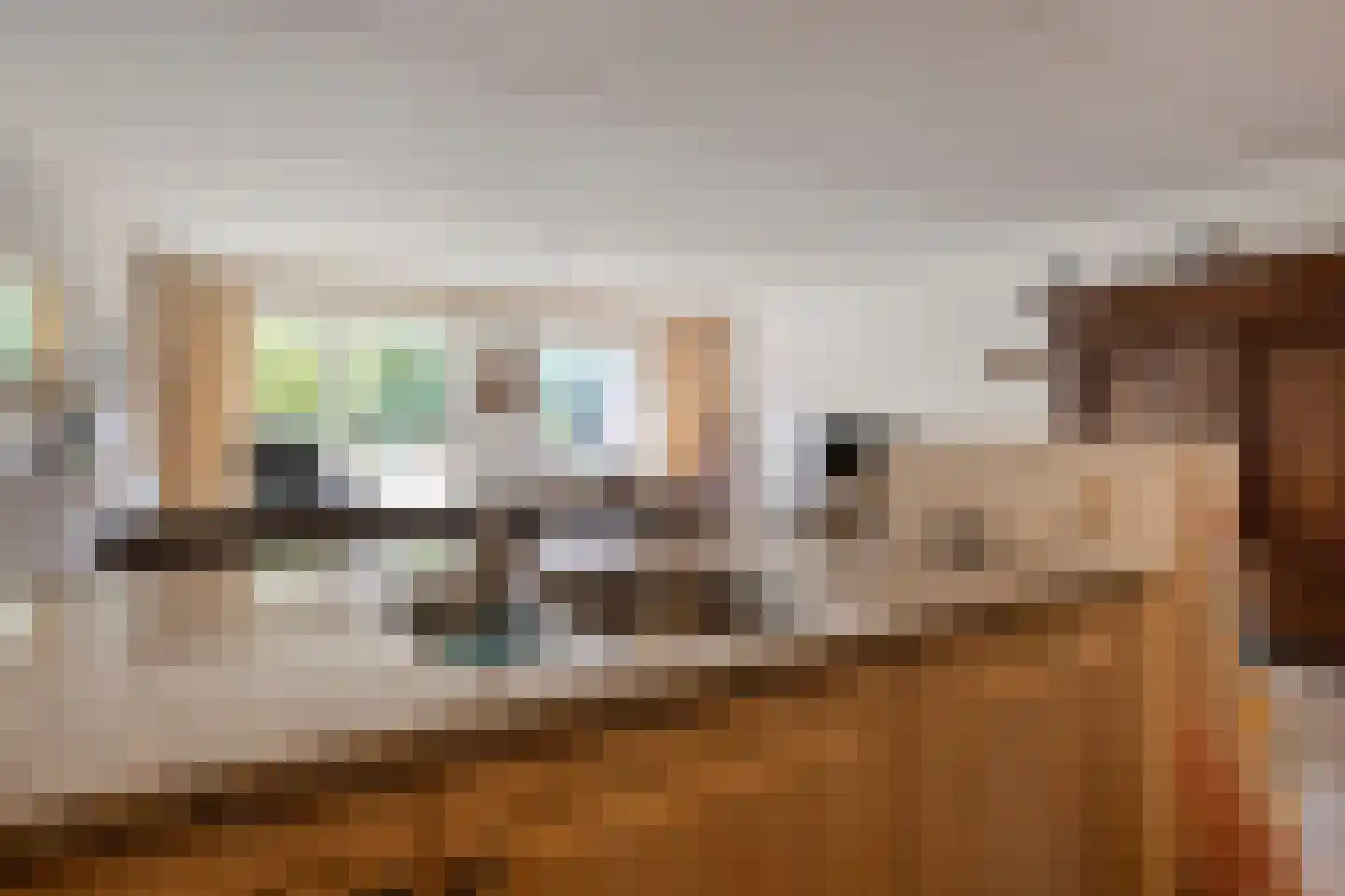 Nieuwe Tielseweg 20 13 Tiel thumbnail 19