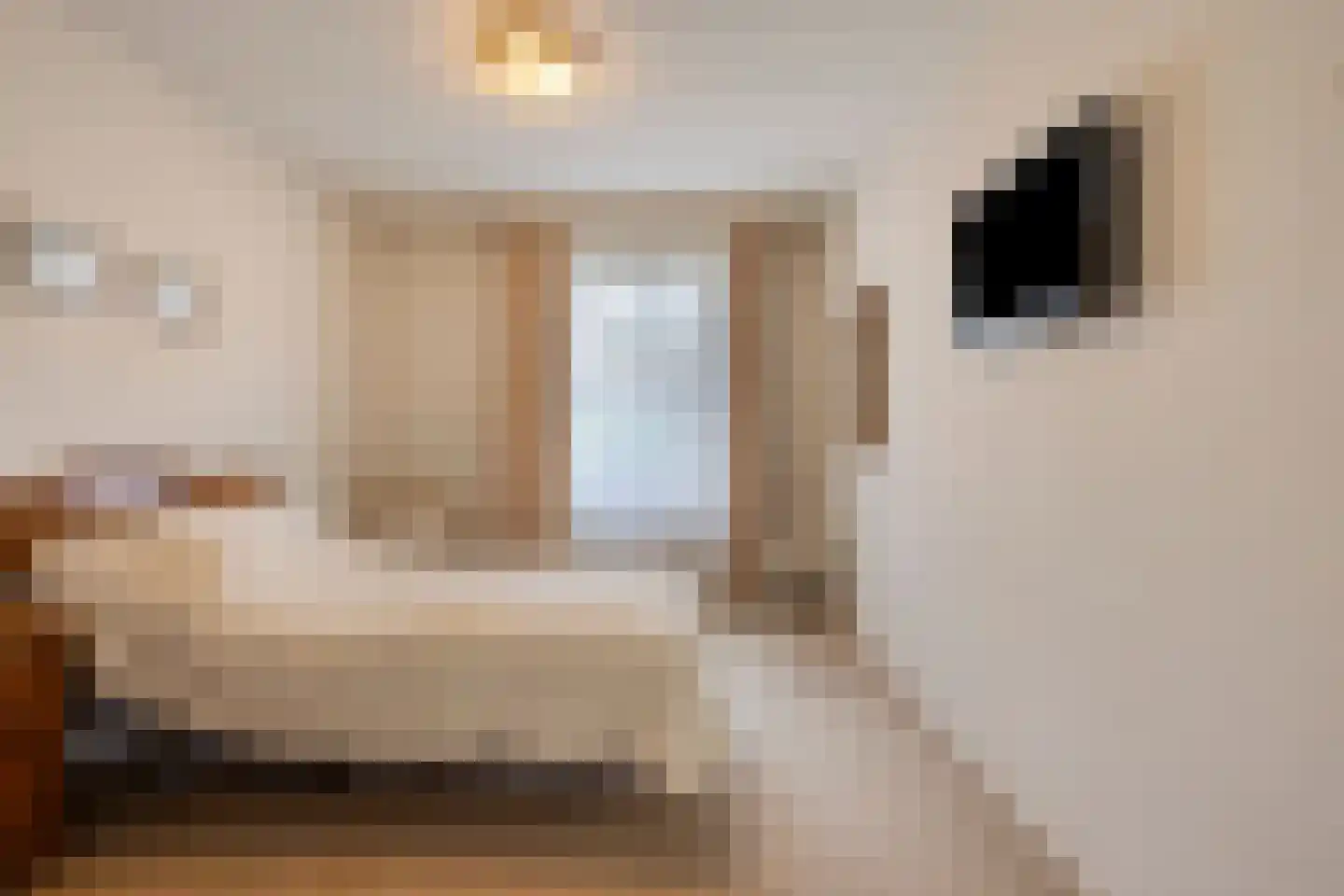 Nieuwe Tielseweg 20 13 Tiel thumbnail 20