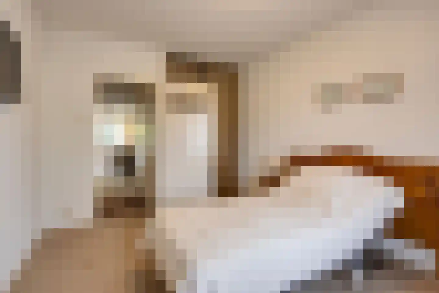 Nieuwe Tielseweg 20 13 Tiel thumbnail 21