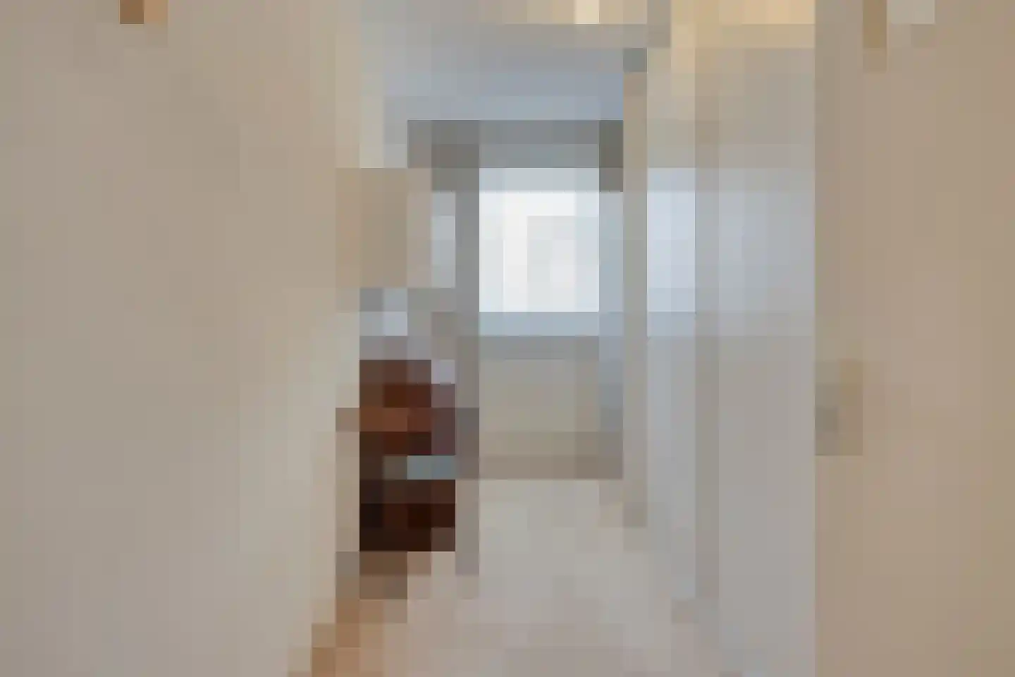 Nieuwe Tielseweg 20 13 Tiel thumbnail 23