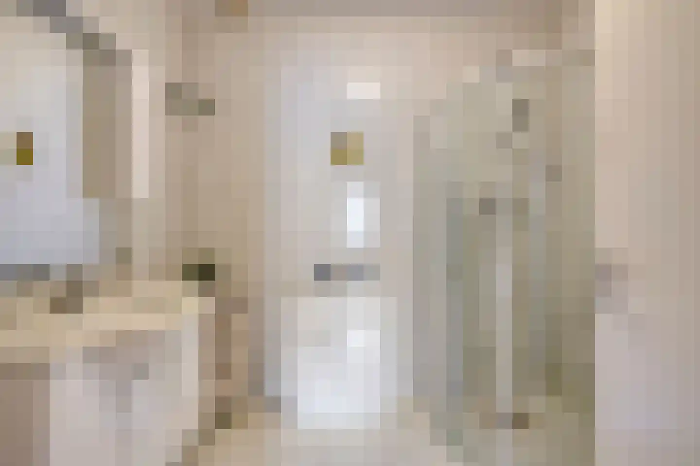 Nieuwe Tielseweg 20 13 Tiel thumbnail 24