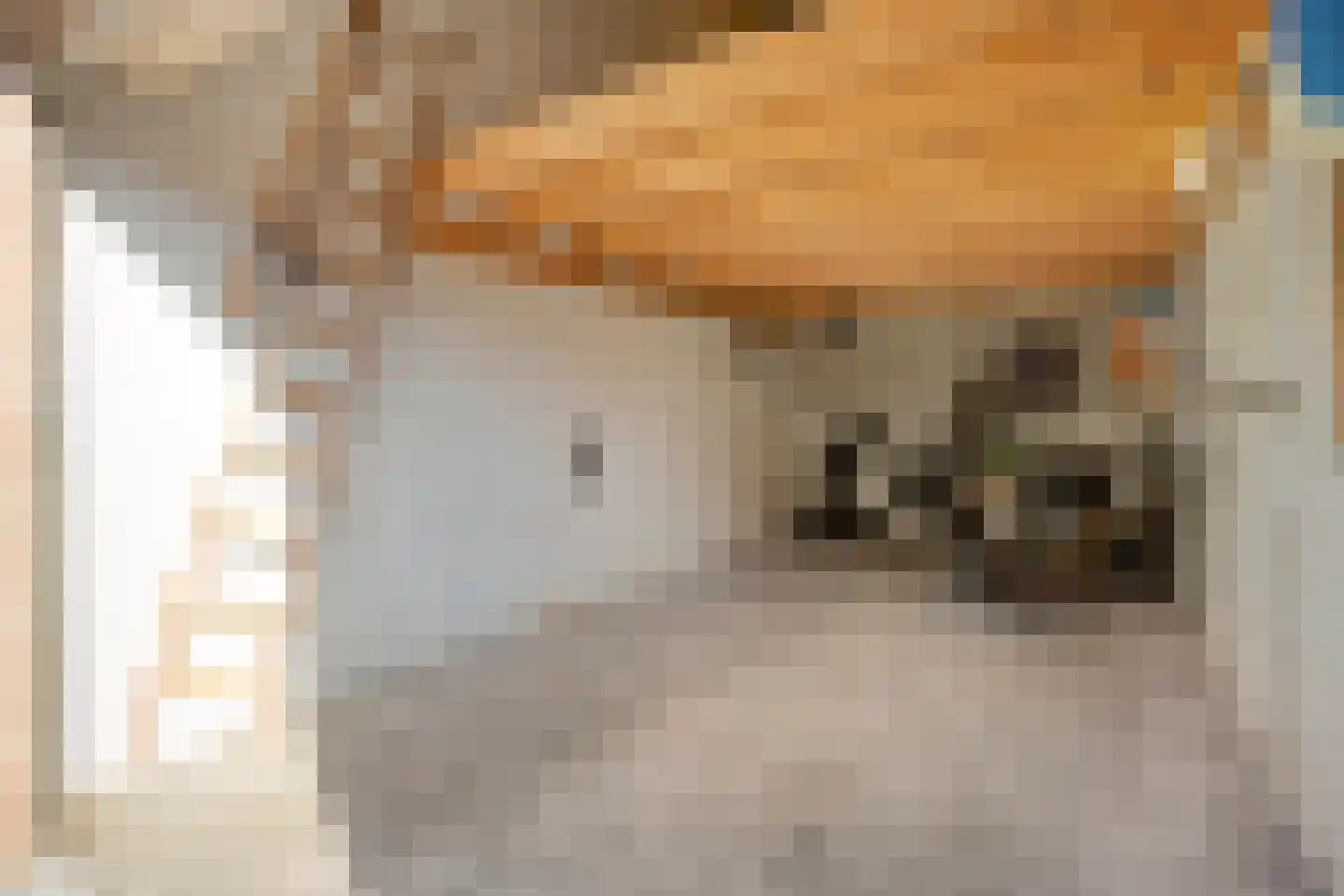 Nieuwe Tielseweg 20 13 Tiel thumbnail 27