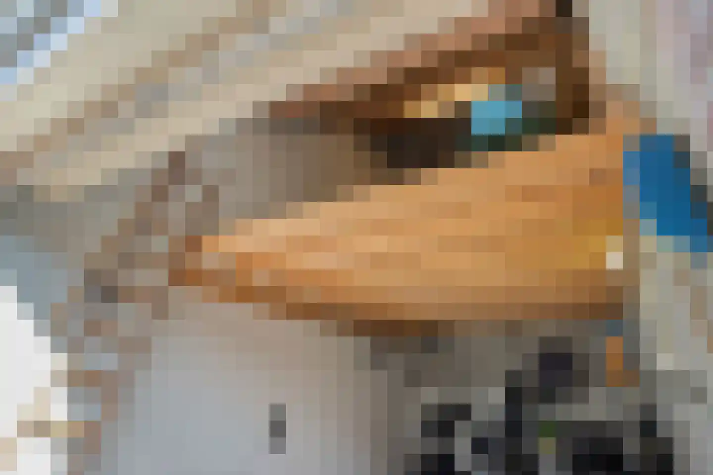 Nieuwe Tielseweg 20 13 Tiel thumbnail 28