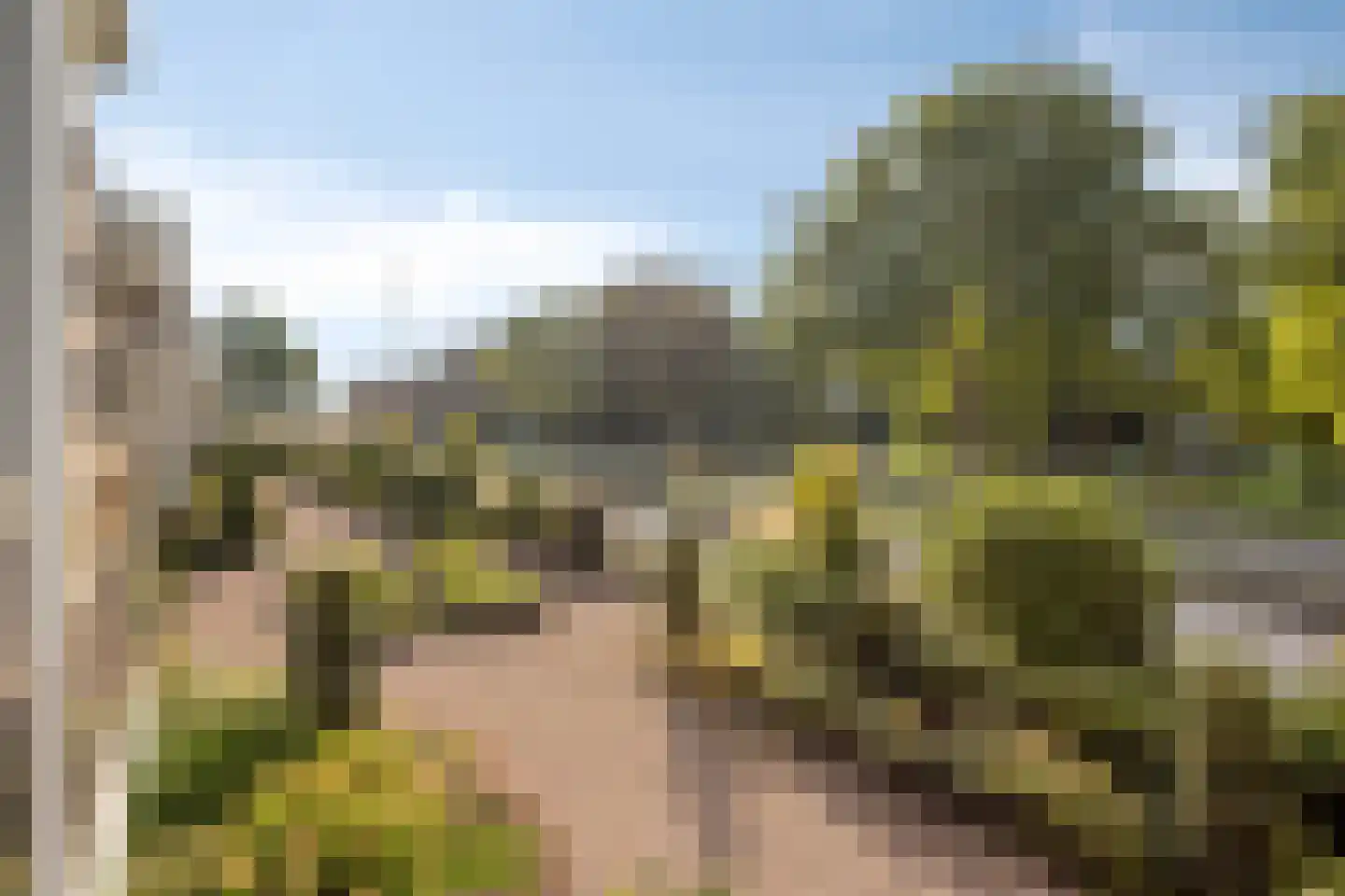 Nieuwe Tielseweg 20 13 Tiel thumbnail 29