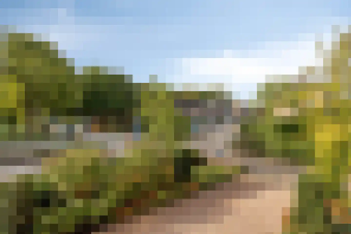 Nieuwe Tielseweg 20 13 Tiel thumbnail 30
