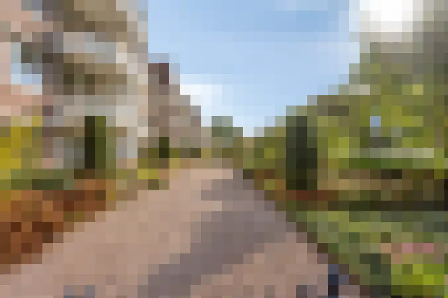 Nieuwe Tielseweg 20 13 Tiel thumbnail 31