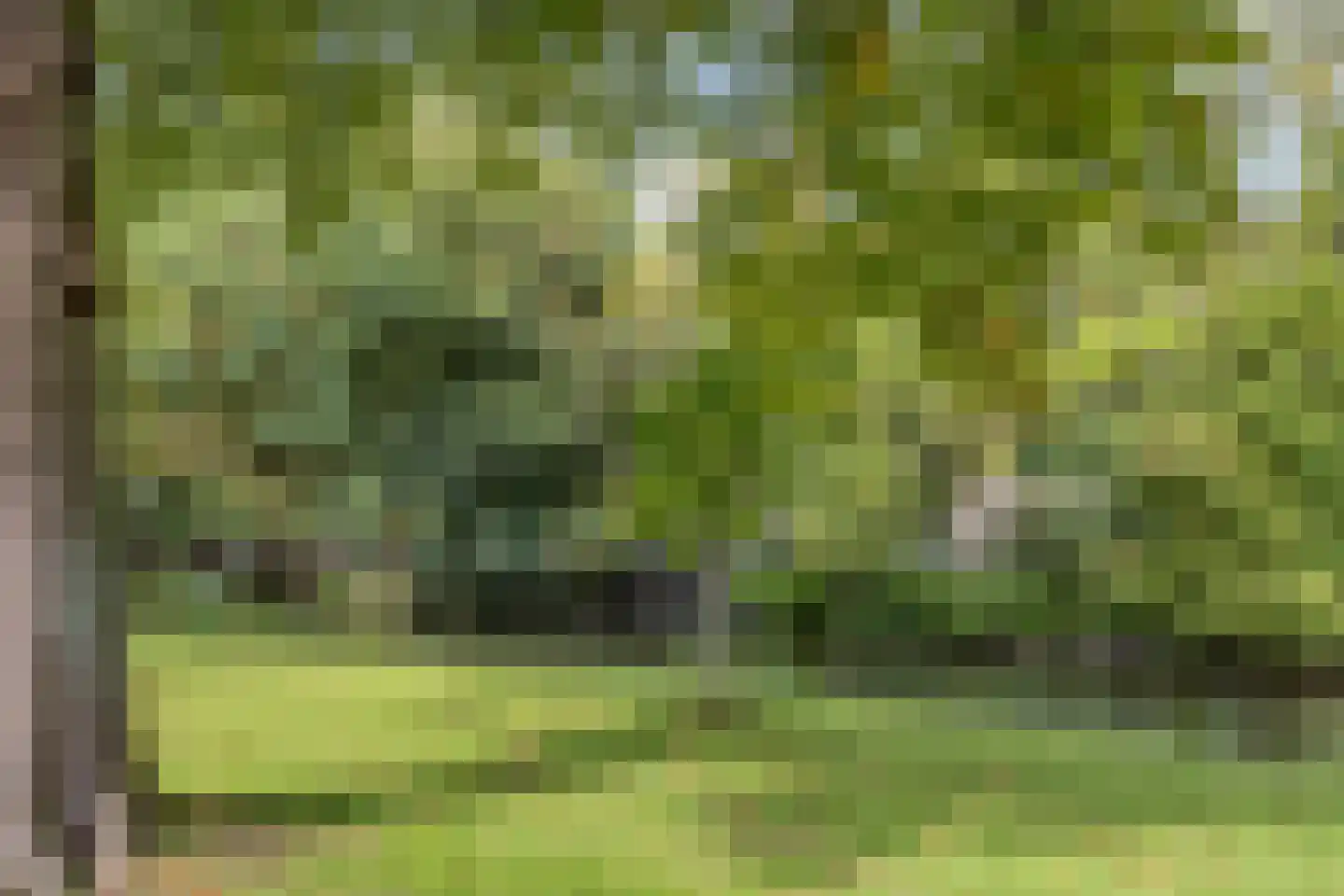 Nieuwe Tielseweg 20 13 Tiel thumbnail 33
